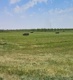Equipo de Mi Terreno Financiado asesorando la compra de terrenos en Delicias, Chihuahua