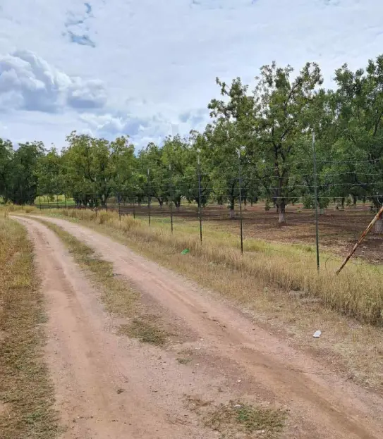 Terrenos en Delicias, Chihuahua listos para escriturar con Mi Terreno Financiado
